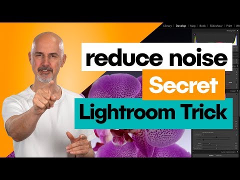 Easy Lightroom Tutorial 2019 | Basic Tab Part I | Super easy Lightroom class