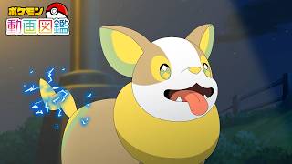 【公式】「ポケモン動画図鑑」No.0835 ワンパチ