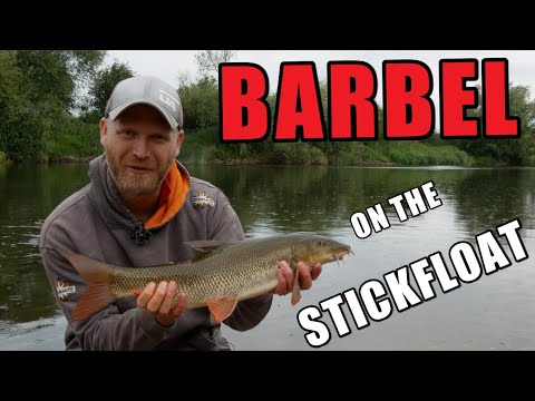 STICK FLOAT FISHING | BARBEL ON THE STICK FLOAT | RIVER FISHING FOR BARBEL | ROB WOOTTON