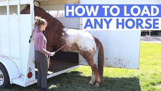 HOW TO LOAD A HORSE INTO A TRAILER (the right way!)