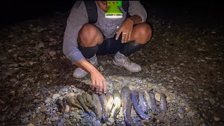 Download lagu 4 Days Hunting with 100 Fishing Lines in Mountain Swamps & Beaches, Caught Lots of Fish for a New... mp3