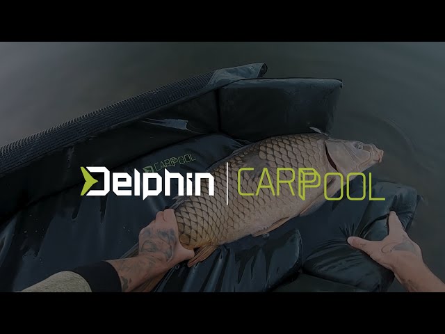 Delphin CarpPool