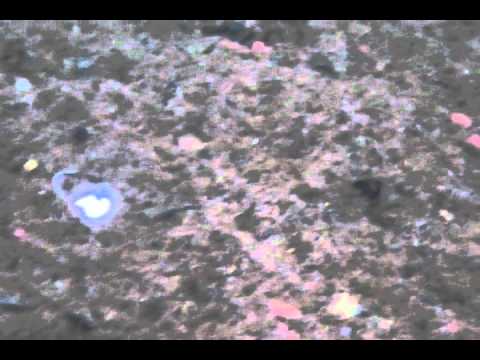 Neo Style Bottom Killer 0.4g 05 Super Fluo Glossy Orange Yellow