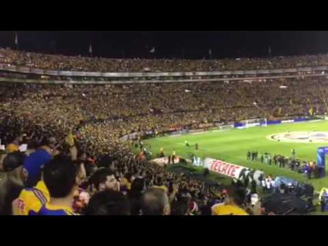"Himno Nacional Tigres Campeón" Barra: Libres y Lokos • Club: Tigres