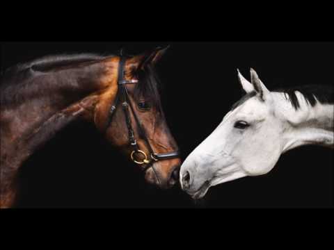 Nytron & Sugar Hill ❤ Saturday Night