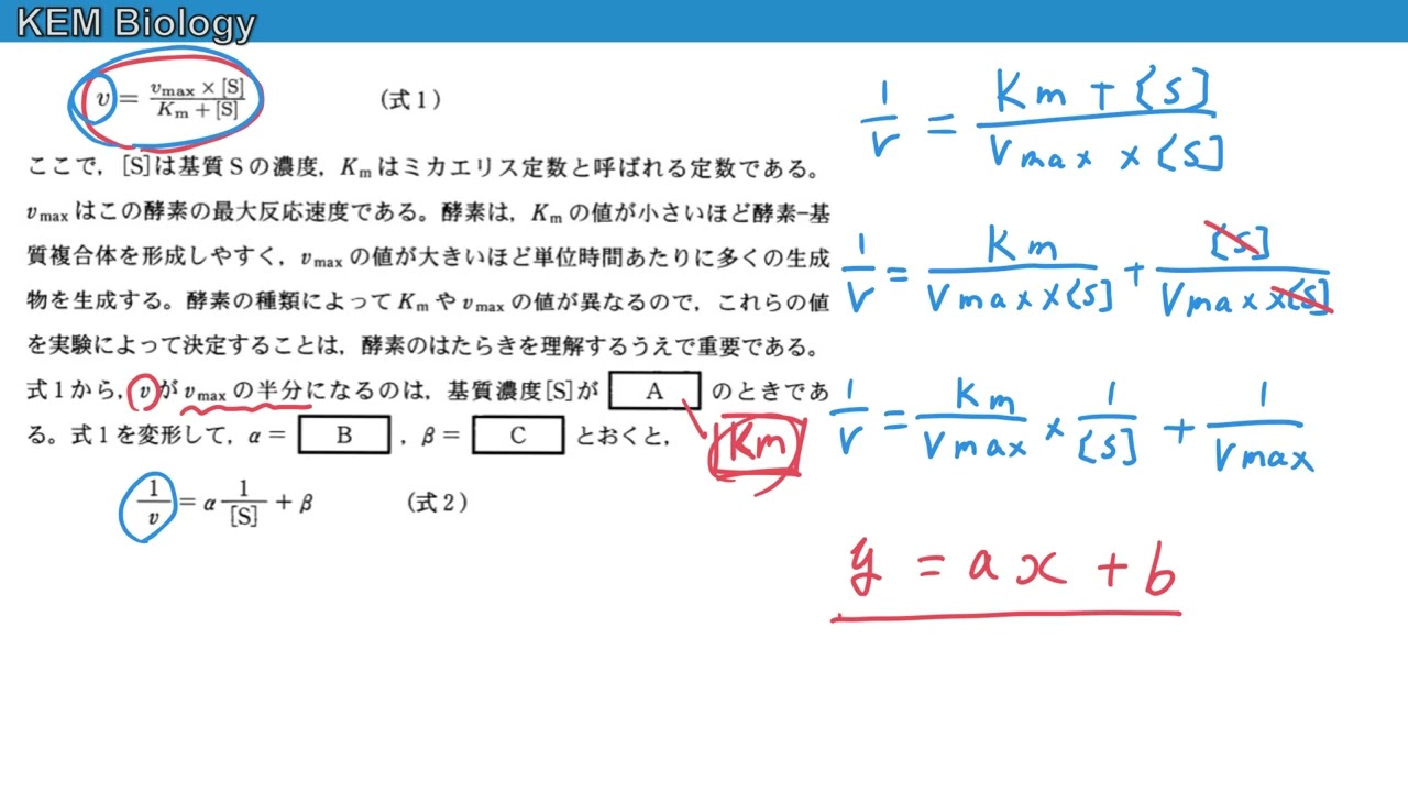 理系生物「大阪大学2023大問3【B問題】ラインウィーバー・バークプロット」