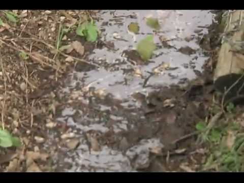 YouTube video about: Where do watersheds exist how can we protect them?