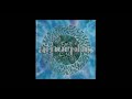 Amorphis - Cares