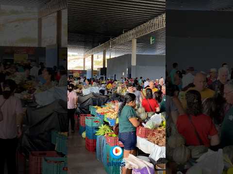 FEIRA PÚBLICA DE MACAÚBAS BAHIA