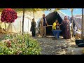 Turning Bare Ground Into Our Mountain Home ️ Nomad Family Adventure