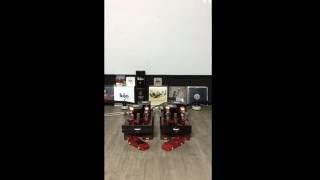 Carol Kidd - Havin' Myself A Time (Nice Work)