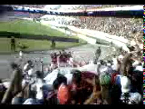 Inferno Coral-tabajara, faisk e tikinho