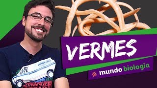 Doenças transmitidas por Vermes