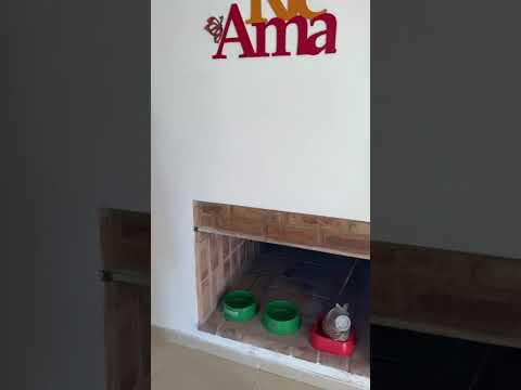 Video de Alojamiento La Rosadita