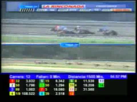 12 CARRERA DOM 15 JULIO LA RINCONADA AUDIOHIPISMO