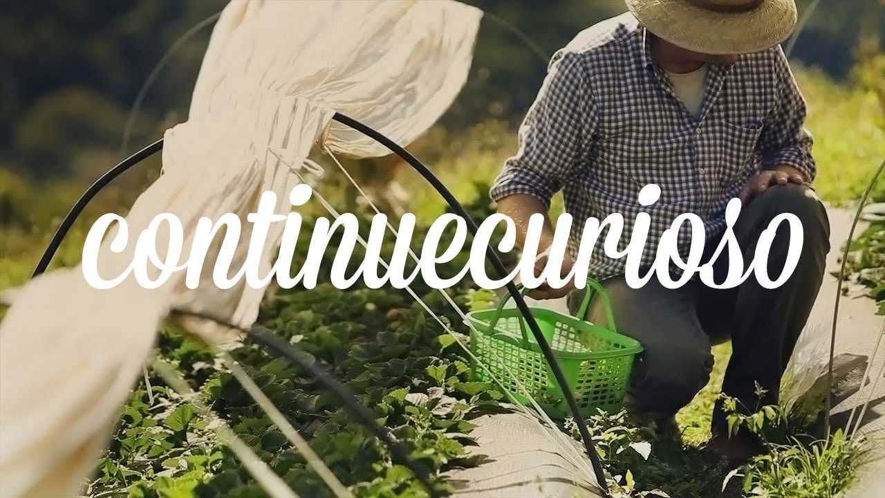 marinaldo pegoraro cc