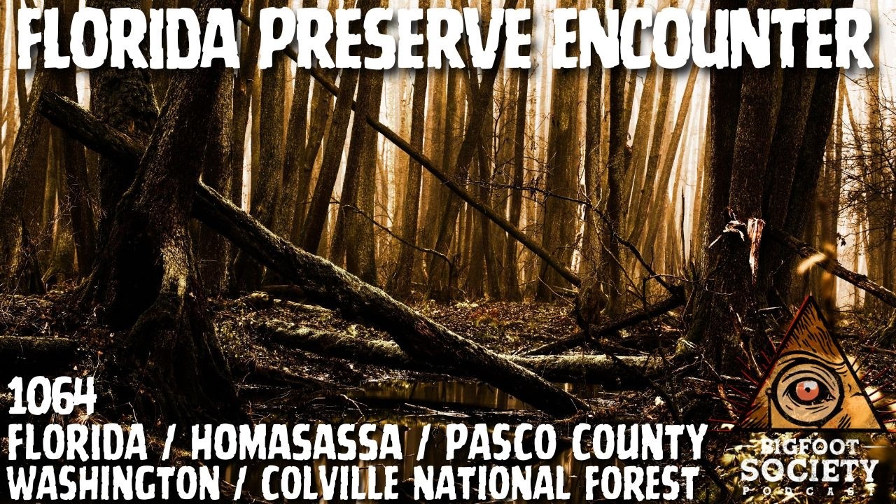 A Florida Researcher’s Terrifying Sasquatch Encounters in Pasco County