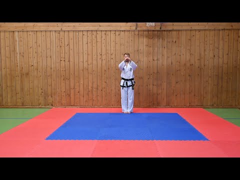 Won Hyo Tul by Simen for Asker Taekwon Do Club