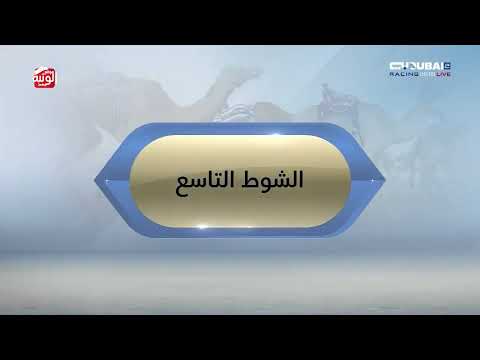 ملخص السباق , مهرجان ولي عهد دبي 2026/01/21 حول زمول المرموم