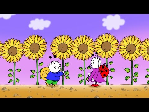 Berry and Dolly: Sunflowers