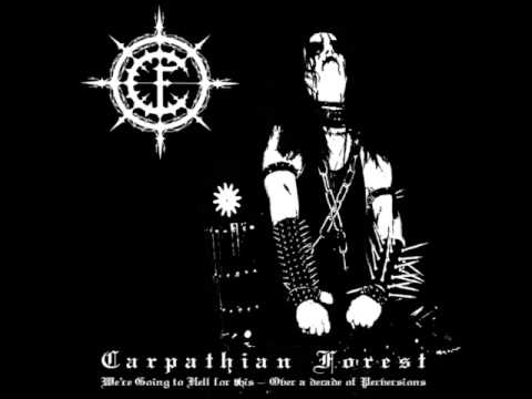 Carpathian Forest - We're Going to Hell for This - Over a Decade of Perversions[full album]
