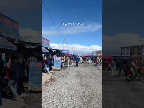 Domingo en Caleta Lo Rojas 🐙🐟