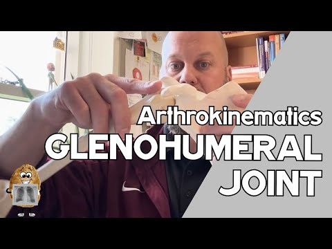 Glenohumeral Joint Osteokinematics & Arthrokinematics
