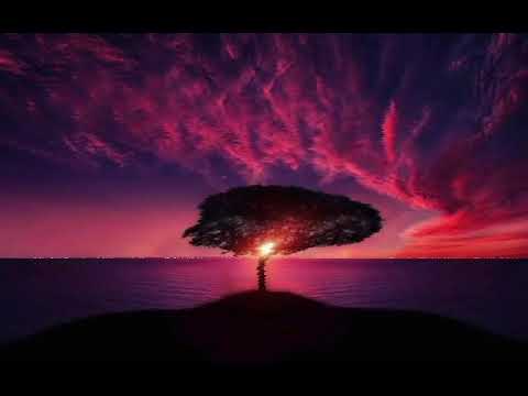 Bujol X Fancuz - Leci