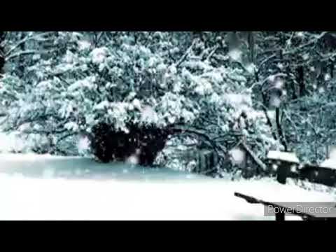 Падал белый снег ~ Артур Руденко(Lyrics)