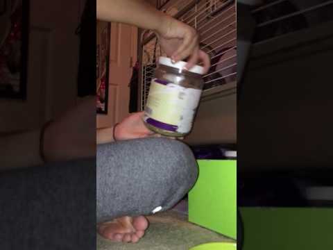 Process Analysis- How To Take Care of A Chinchilla