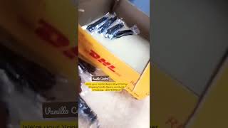 Download lagu Vanilla Central: The reliable supplier of vanilla Beans. Let's build our Vanilla brand together. mp3 Download lagu Vanilla Central: The reliable supplier of vanilla Beans. Let's build our Vanilla brand together. mp3