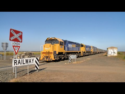 7737V Pacific National Grain Train With XR557 X50 BL27 (2/12/2022) - PoathTV Railways In Australia