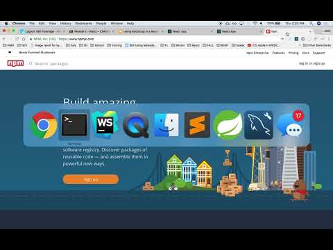 M2L4 3 importing bootstrap into react