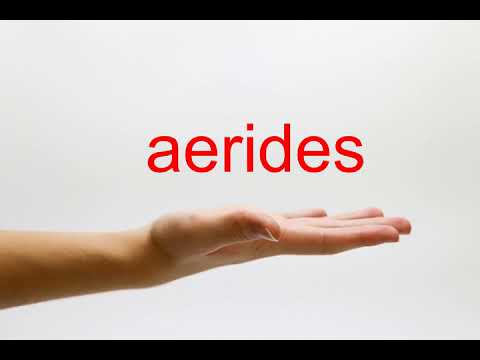 How to Pronounce aerides - American English