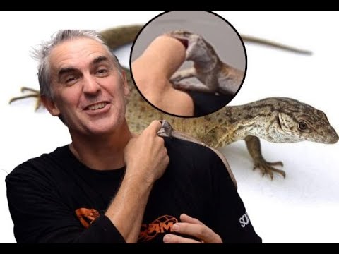 MY MONITOR ATTACKS - CrittaCam