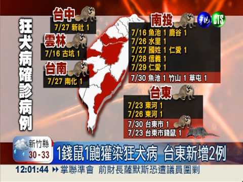 狂犬病再添5例! 分布南投.台東