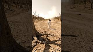 Jesus and the Thirsty Animals🙏🙏