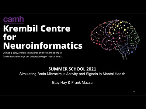 KCNI School - Simulating Microcircuits (1 / 4) - Lecture 1  - Etay Hay