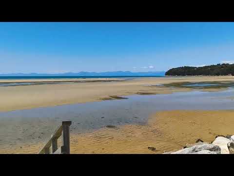 Beach in South Island, NZ
