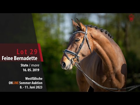Sommer-Auktion Lot 29 Feine Bernadette Stute v. Florestanus - Feinsinn