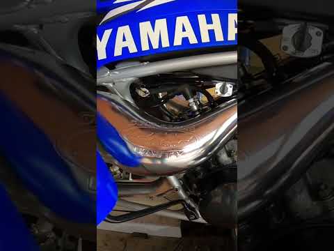 Piped Banshee Dyno 🤤 +5hp for Fenders 😂