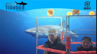 DIA 3 Expo Tiburon189