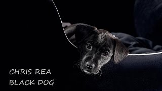 CHRIS REA - BLACK DOG