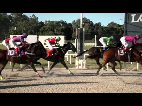 220402 c08 INCITATUS