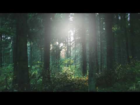 Christian Sinding: Piano Concerto in D-Flat Major, Op.6 (1889)