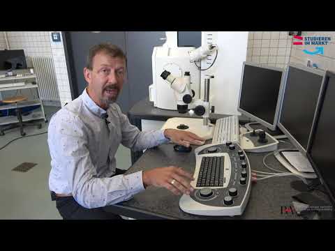 Unser Elektronenmikroskop oder: Vergleich REM Auflicht