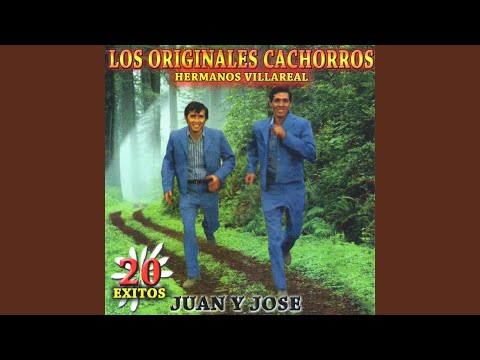download lagu mp3 mp4 Nuestras Penas, download lagu Nuestras Penas gratis, unduh video klip Nuestras Penas