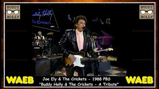 Joe Ely &amp; The Crickets - Not Fade Away (1988 PBS) PLUS 1989 Interview