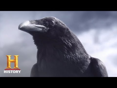 Vikings Season 5 (Teaser 'Crow')