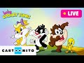 LIVE Outdoor Adventure Indoor Playing And Food Fights Baby Looney Tunes Cartoonito